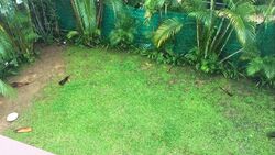 Sunset Drive (D21), Detached #415960611